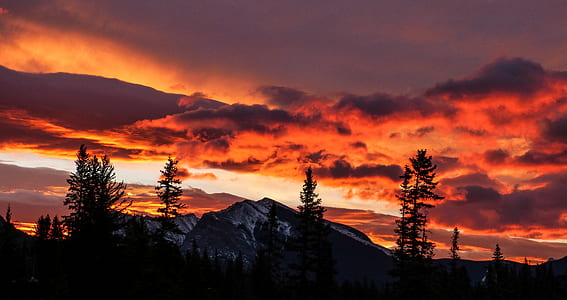 landscape photography of sunset thumbnail