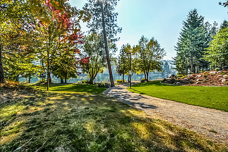high-saturated photography of green trees and grass field thumbnail