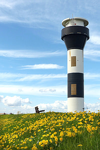 white and black lighthouse surrounded by yellow flowers thumbnail