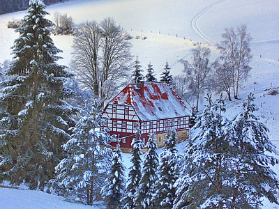 red house near snow-covered trees thumbnail