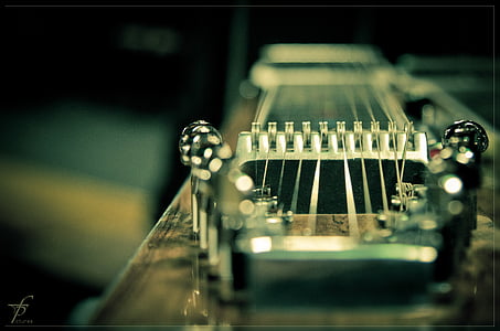 macro photography of string instrument thumbnail