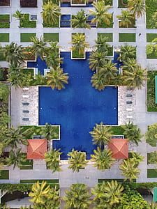 aerial photography of park pool near building with palm tress thumbnail