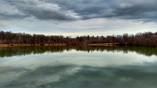 body of water near trees thumbnail