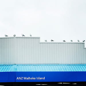 white bird perching on building thumbnail