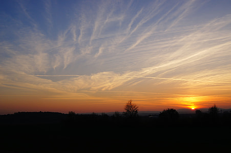 silhouette of trees under cloudy skies during golden hour thumbnail