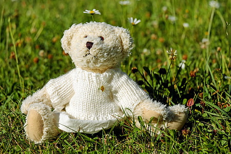white bear plush toy thumbnail