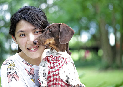 woman wearing white shirt holding brown short coat dog thumbnail