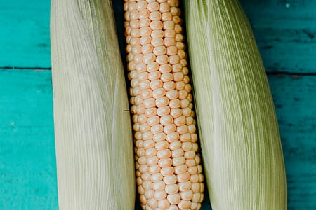 Corn Cob on Blue Surface thumbnail