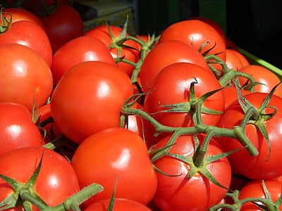 bunch of ripe tomato fruits thumbnail