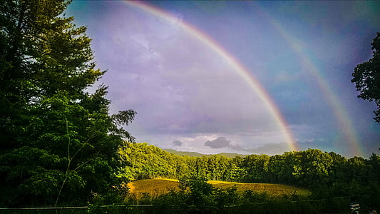 landscape photo of trees with rainbow thumbnail