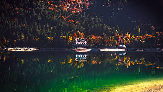 Reflection of Trees in Lake thumbnail