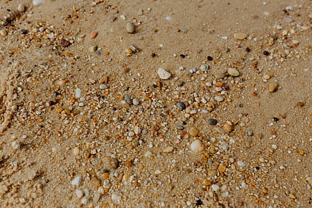 Sand beach background with sea shells & pebbles - many round small stones thumbnail