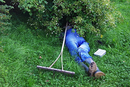 person lying on the green grass field thumbnail