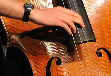 person holding musical instrument string thumbnail