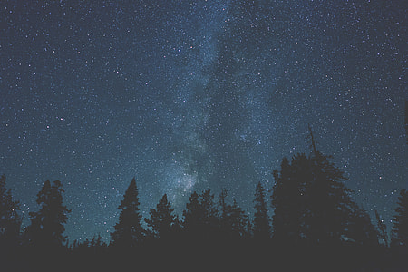 Long exposure shot of the stars in night sky at Yosemite Valley, California thumbnail