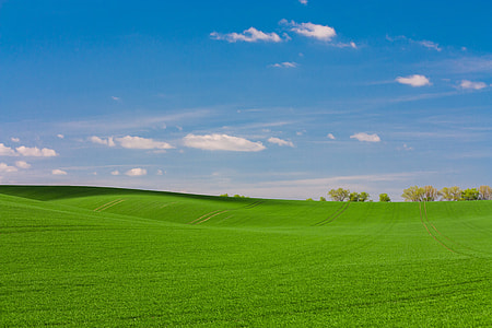 Windows wallpaper thumbnail
