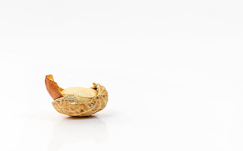 brown nuts thumbnail