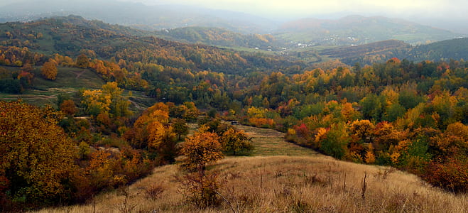 brown mountains with trees thumbnail