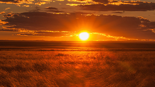 landscape photo of sunset over grassfield thumbnail
