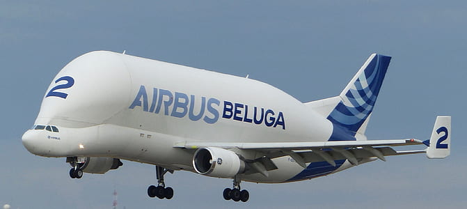 white and blue Airbus Beluga airliner thumbnail