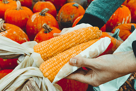 person touching corn thumbnail