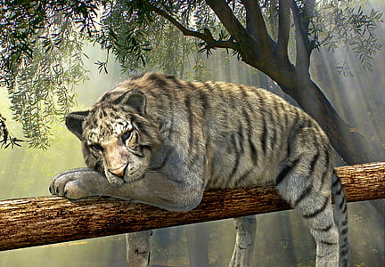 white tiger on tree painting thumbnail