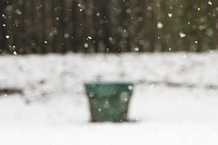 snow, snowing, garden, window thumbnail