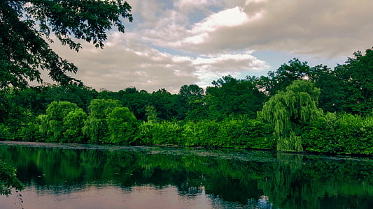 green trees beside body of water thumbnail