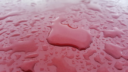 selective focus photography of water thumbnail
