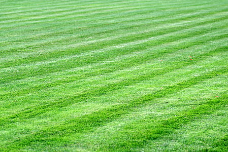 green field thumbnail