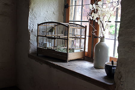 brown wooden birdcage near window thumbnail
