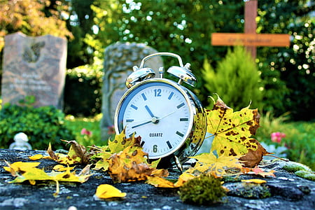 gray stainless steel framed bell alarm clock surrounded by fallen leaves thumbnail