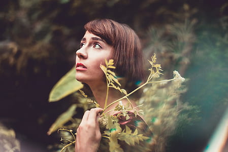 person, woman, girl, forest thumbnail