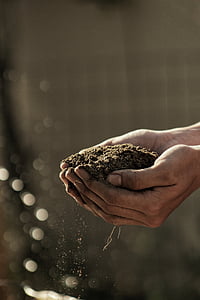 person holding brown soil in selective focus photography thumbnail