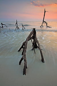 sea, dawn, sunset, beach thumbnail