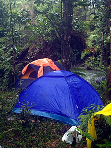 blue dome tent on green grass thumbnail