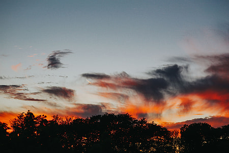 Sunset over the forest thumbnail