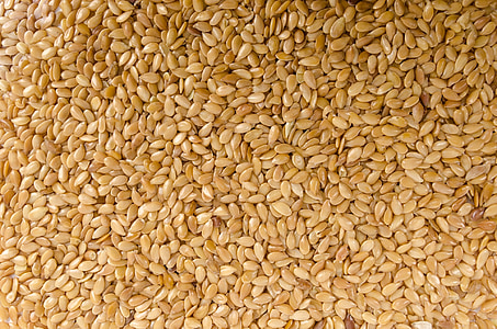 pile of seeds thumbnail