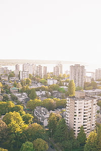 city buildings near trees at daytime thumbnail