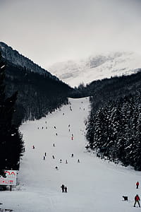 Snowboard and Ski Lanscape thumbnail