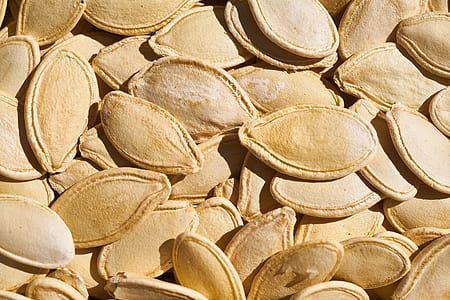 brown fruit seeds thumbnail