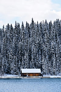 photography of snow covered house next to pine trees during daytime thumbnail