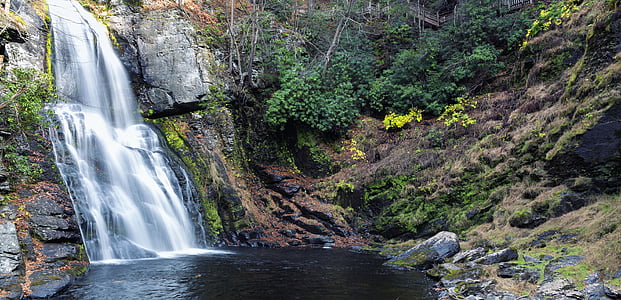waterfalls near green leafed plants during daytime thumbnail