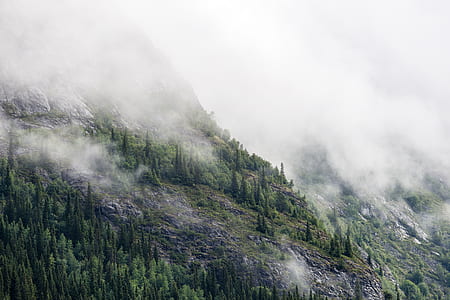 foggy mountain during daytime thumbnail