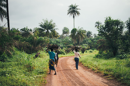 three person walking beside trees and grass thumbnail