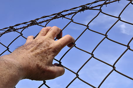 person holding brown metal chain link fence at during daytime thumbnail