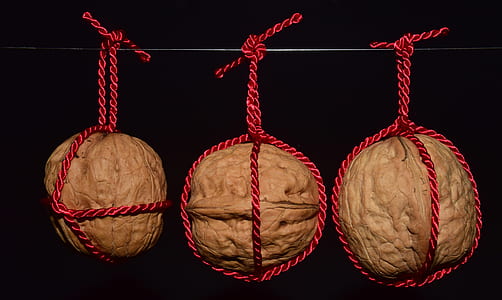 three brown seeds thumbnail