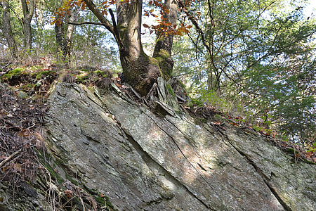 Rheinisches-Shale, Eifel thumbnail