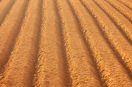 soil thumbnail