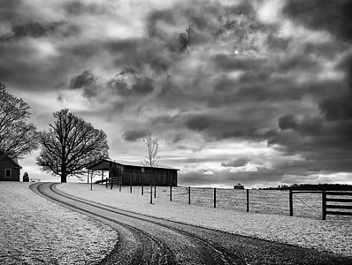 grayscale photo of barn house beside road surrounded by trees thumbnail
